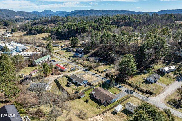 aerial view with a forest view and a mountain view