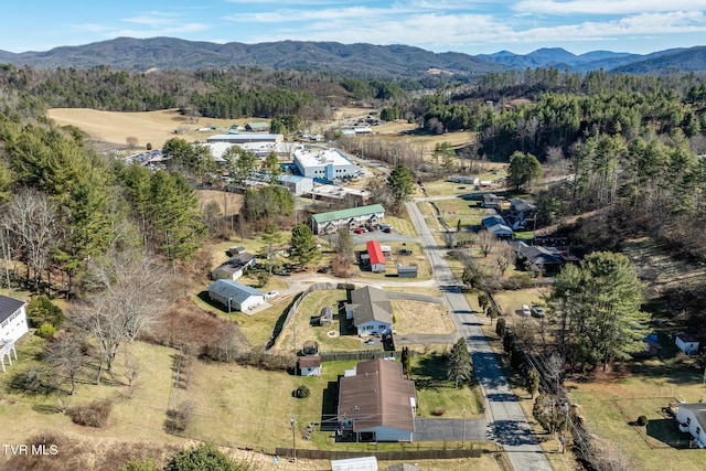 birds eye view of property featuring a mountain view