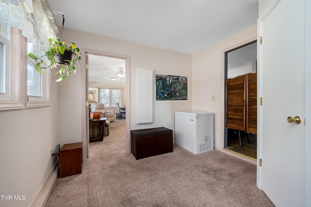 corridor with carpet flooring