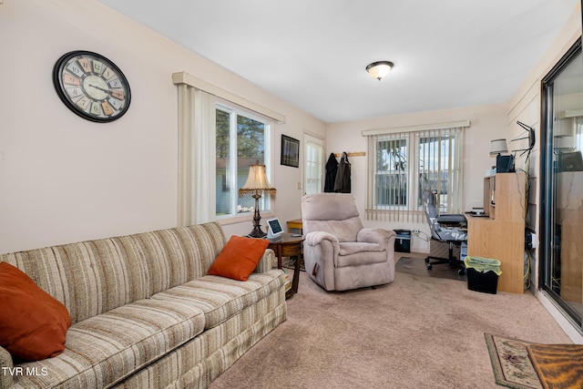 view of carpeted living room