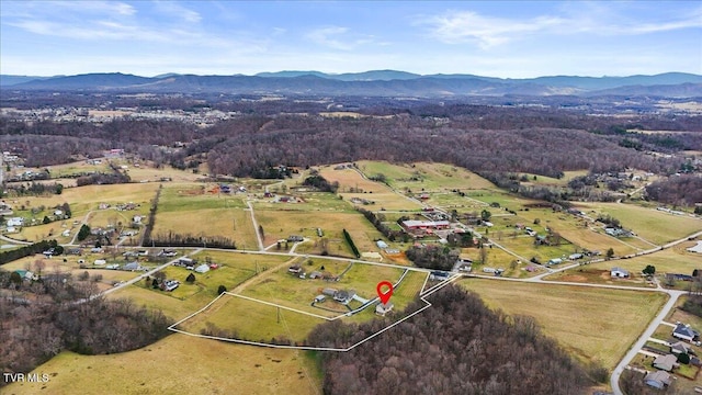 drone / aerial view with a mountain view