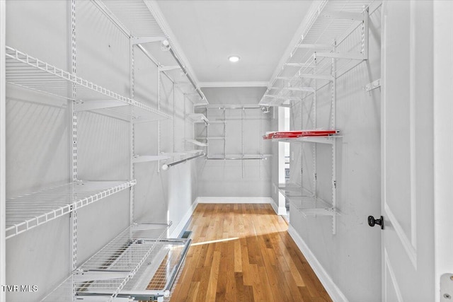 walk in closet featuring hardwood / wood-style flooring