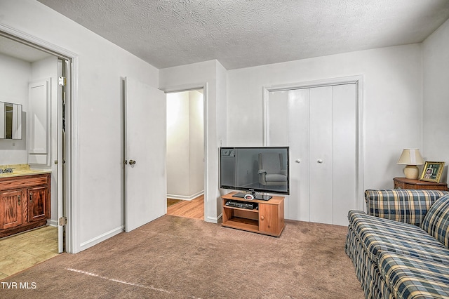 carpeted living room with a textured ceiling