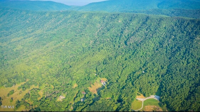 view of mountain feature