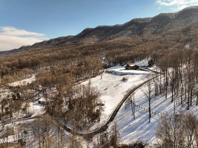 property view of mountains