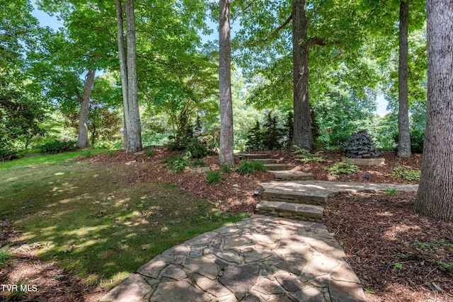 112 Black Thorn Dr, Jonesborough, TN 37659 - photo 62