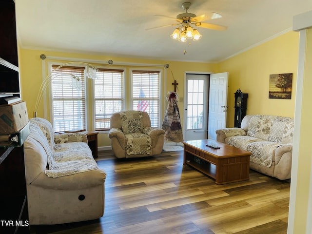 800 Buffalo Ridge Rd, Big Stone Gap, VA 24219 - living room with hardwood / wood-style flooring, ornamental molding, and plenty of natural light