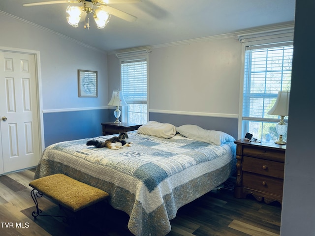800 Buffalo Ridge Rd, Big Stone Gap, VA 24219 - bedroom with multiple windows, ornamental molding, lofted ceiling, and dark hardwood / wood-style floors