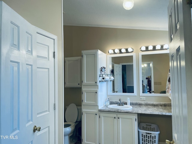 800 Buffalo Ridge Rd, Big Stone Gap, VA 24219 - bathroom featuring vanity, ornamental molding, and toilet