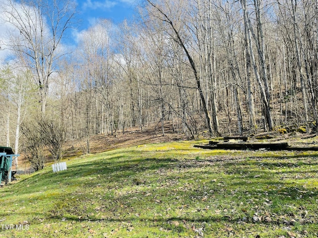 800 Buffalo Ridge Rd, Big Stone Gap, VA 24219 - view of yard