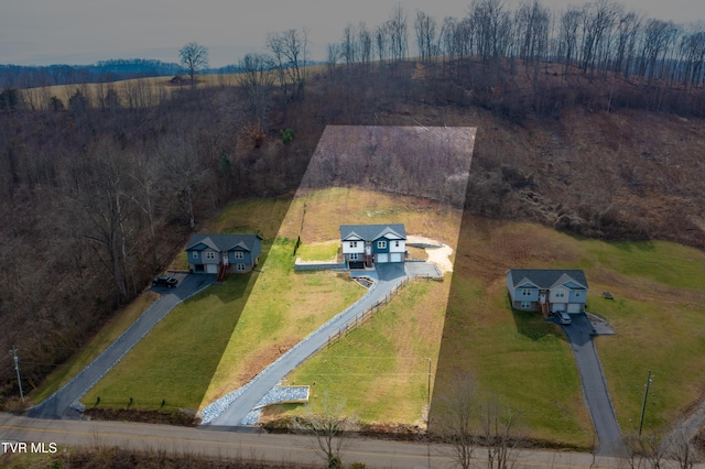 drone / aerial view