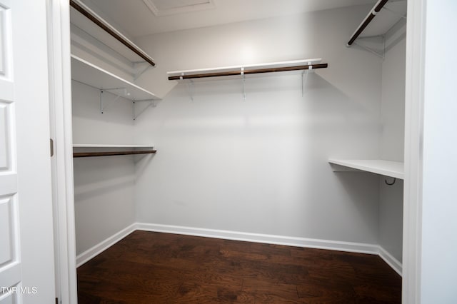 spacious closet with hardwood / wood-style flooring