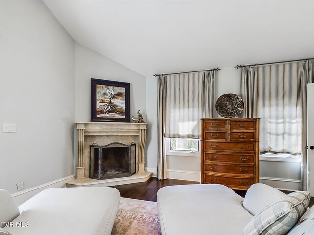 400 Bancroft Chapel Rd, Kingsport, TN 37660 - living area with wood finished floors, lofted ceiling, and a premium fireplace