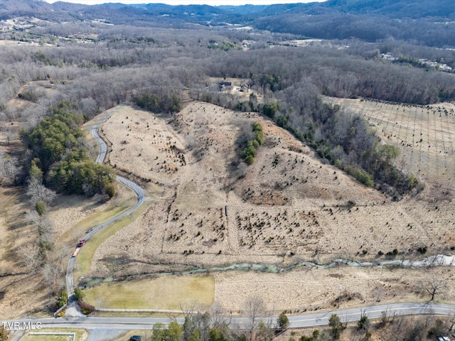 400 Bancroft Chapel Rd, Kingsport, TN 37660 - view of property location with a mountainous background and rural landscape