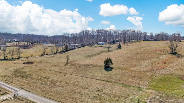 birds eye view of property featuring a rural view