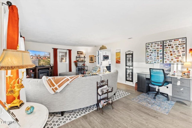 living room with hardwood / wood-style flooring