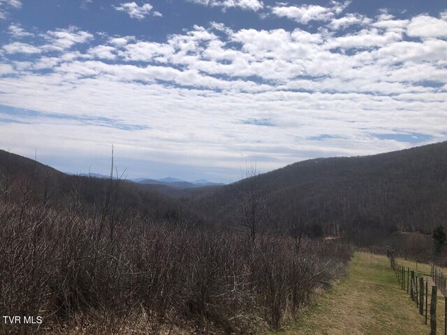 0 Helton Creek Ln, White Top, VA 24292 - photo 3