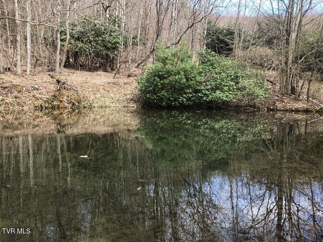 0 Helton Creek Ln, White Top, VA 24292 - photo 2