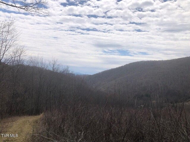 0 Helton Creek Ln, White Top, VA 24292 - photo 8