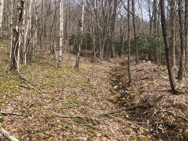 0 Helton Creek Ln, White Top, VA 24292 - photo 10