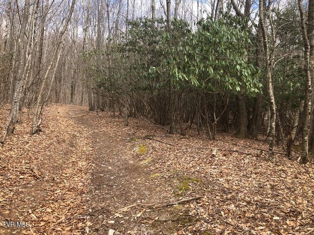 0 Helton Creek Ln, White Top, VA 24292 - photo 11