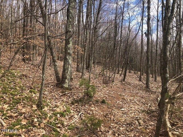 0 Helton Creek Ln, White Top, VA 24292 - photo 13