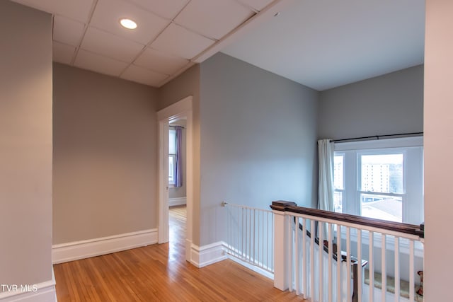 hallway with hardwood / wood-style floors and a drop ceiling