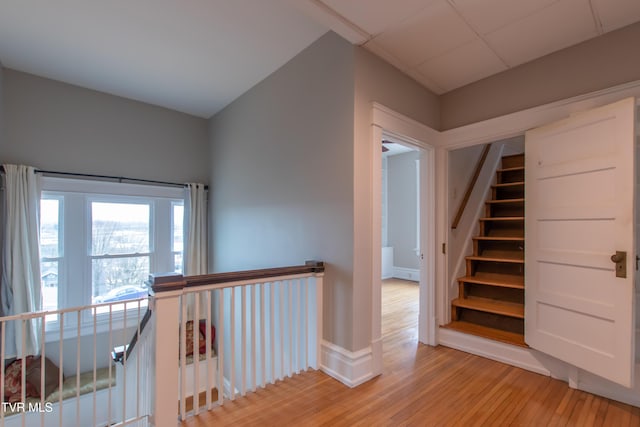 stairway with hardwood / wood-style flooring and a paneled ceiling