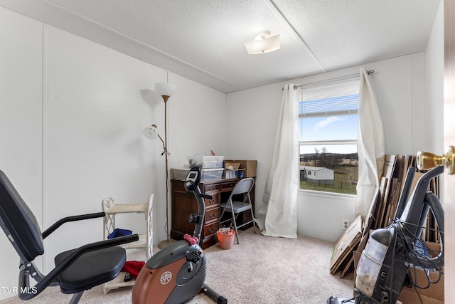 office area with carpet flooring and a textured ceiling