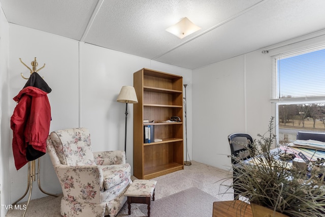 office area with a textured ceiling and carpet flooring