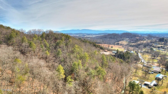 Listing photo 2 for TBD Big Hollow Rd, Blountville TN 37617