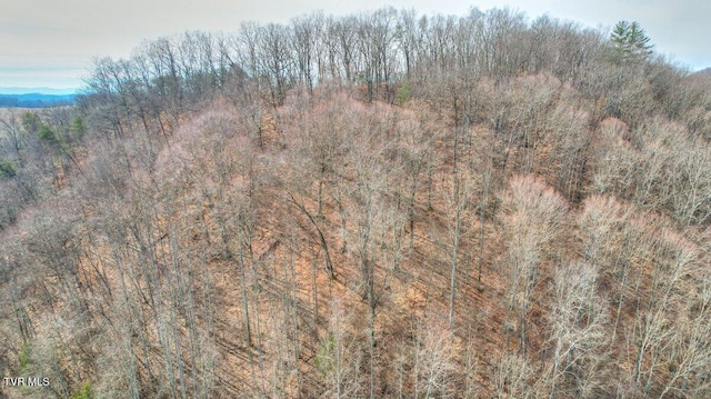 Listing photo 3 for TBD Big Hollow Rd, Blountville TN 37617