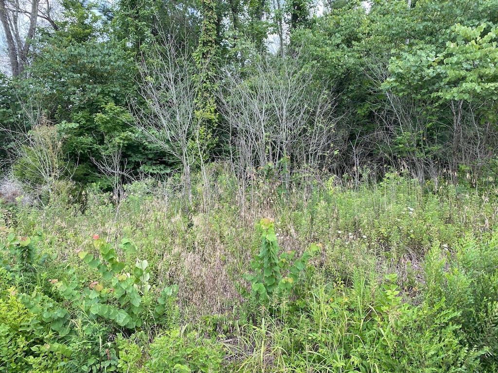 TBD Fort Henry Dr, Kingsport, TN 37664 - photo 1