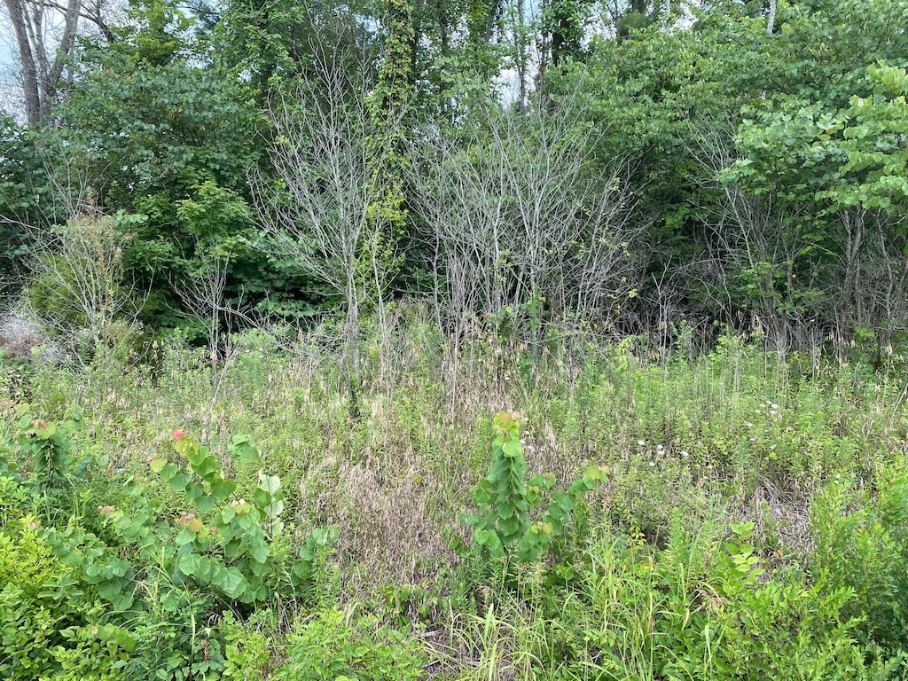 TBD Fort Henry Dr, Kingsport, TN 37664 - photo 2