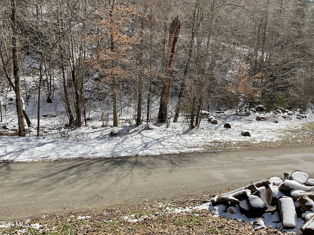 view of yard layered in snow