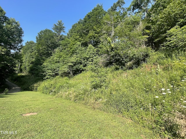 1700 Copperhead Hollow Rd, Mountain City, TN 37683 - photo 16