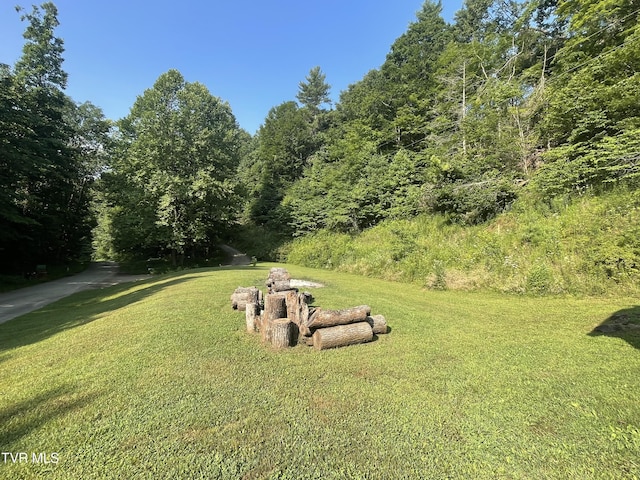 1700 Copperhead Hollow Rd, Mountain City, TN 37683 - photo 14