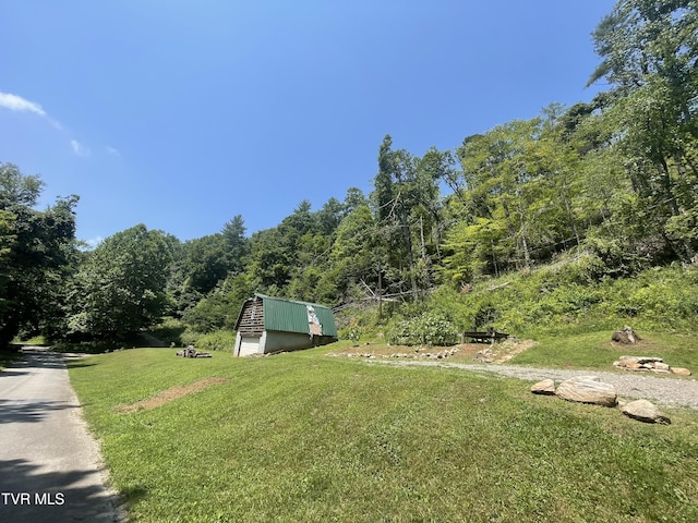 1700 Copperhead Hollow Rd, Mountain City, TN 37683 - photo 10