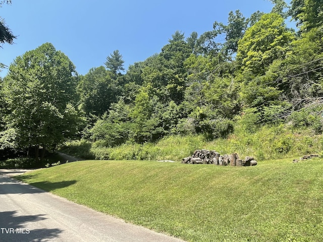 1700 Copperhead Hollow Rd, Mountain City, TN 37683 - photo 15