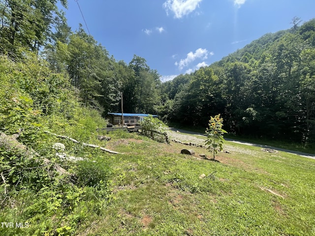 1700 Copperhead Hollow Rd, Mountain City, TN 37683 - photo 12