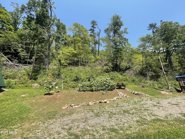 1700 Copperhead Hollow Rd, Mountain City, TN 37683 - photo 19