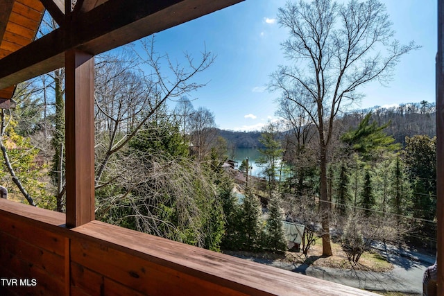 view of mountain feature with a water view