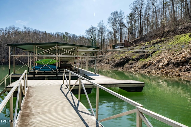 dock area with a water view