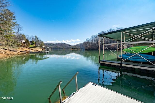 dock area featuring a water view