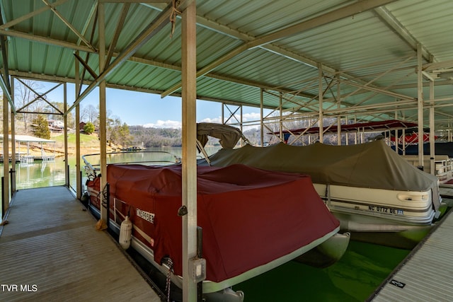 dock area with a water view