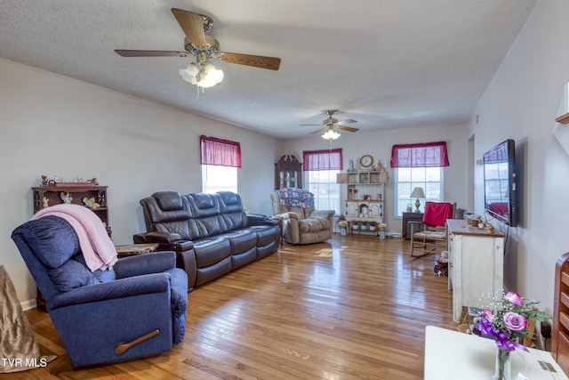 living room featuring ceiling fan, a textured ceiling, and light hardwood / wood-style flooring