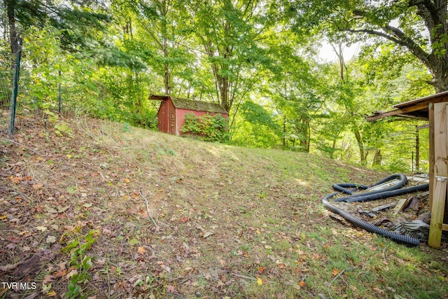 view of yard featuring a storage shed