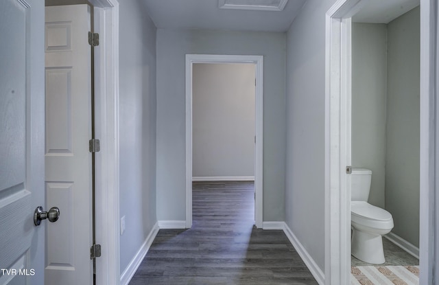 corridor featuring dark hardwood / wood-style floors