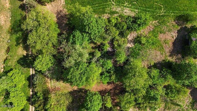 TBD Hipps Rd, Elizabethton, TN 37643 - photo 16