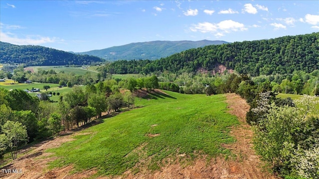 TBD Hipps Rd, Elizabethton, TN 37643 - photo 19